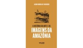 A história da arte e as imagens da Amazônia
